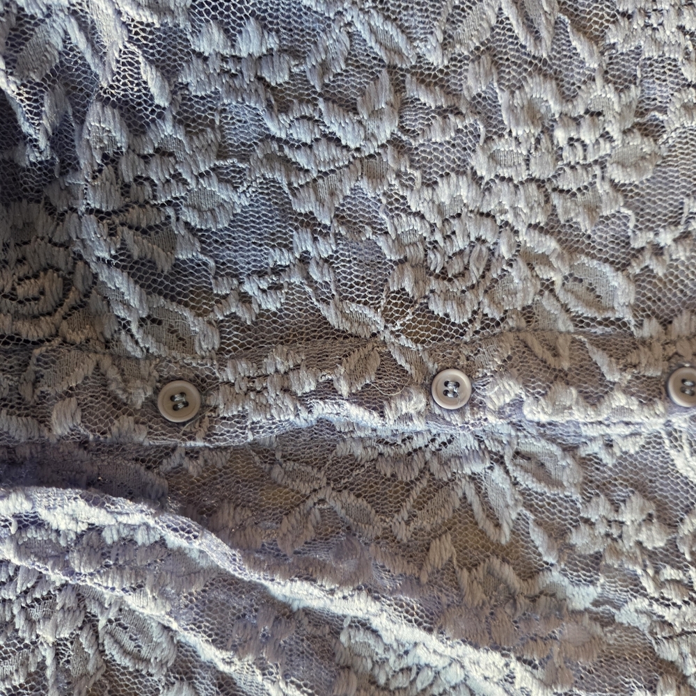 Blue - Lace Originality Button Down Blouse - Large - Picture 3 of 6